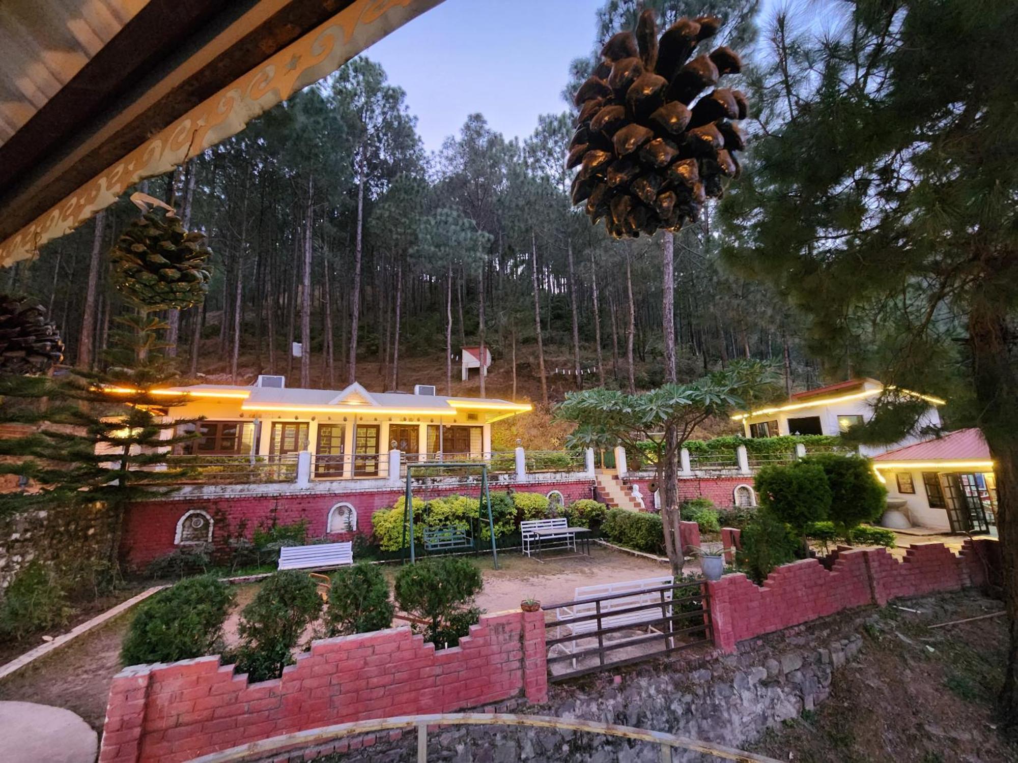 Pine Valley Resort Kasauli Ngoại thất bức ảnh
