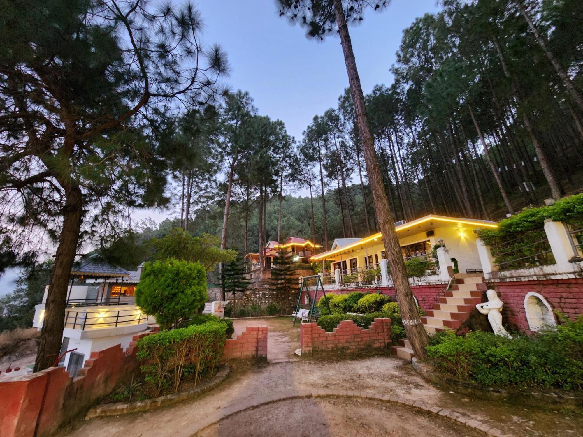 Pine Valley Resort Kasauli Ngoại thất bức ảnh
