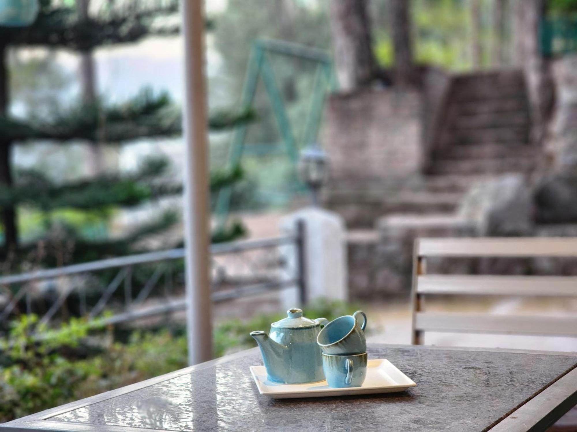 Pine Valley Resort Kasauli Ngoại thất bức ảnh