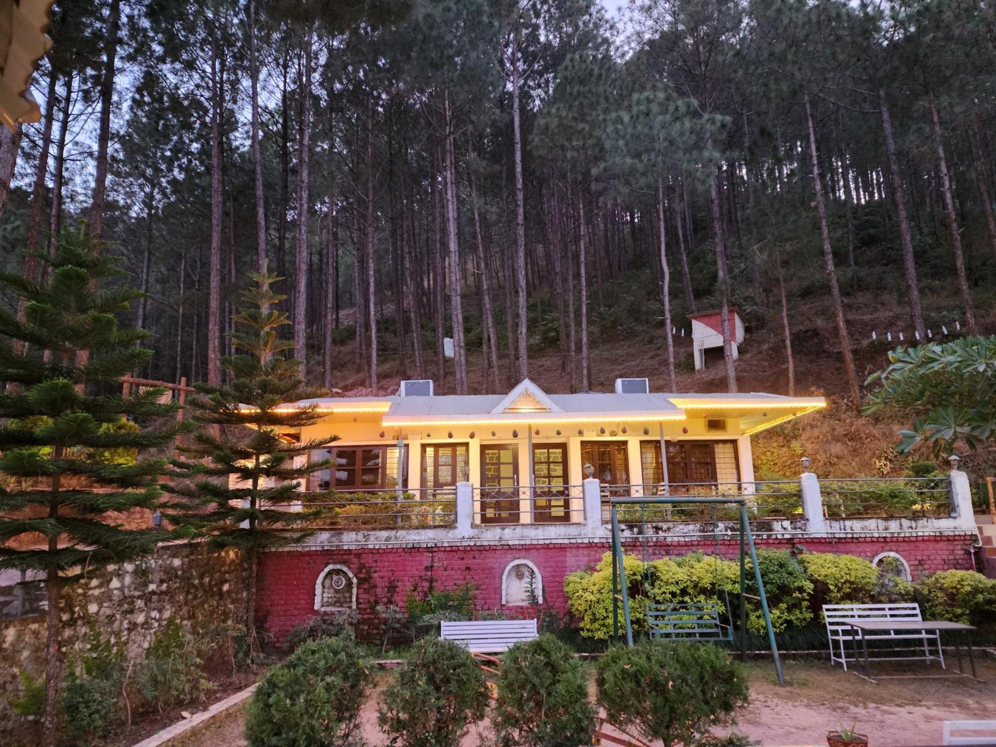 Pine Valley Resort Kasauli Ngoại thất bức ảnh