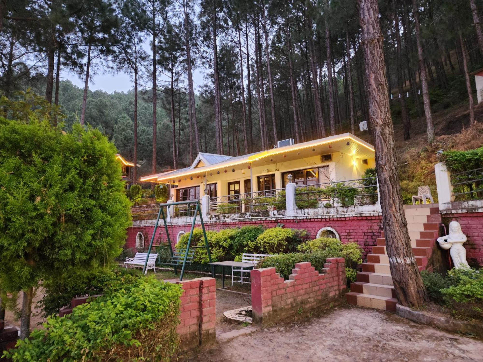 Pine Valley Resort Kasauli Ngoại thất bức ảnh