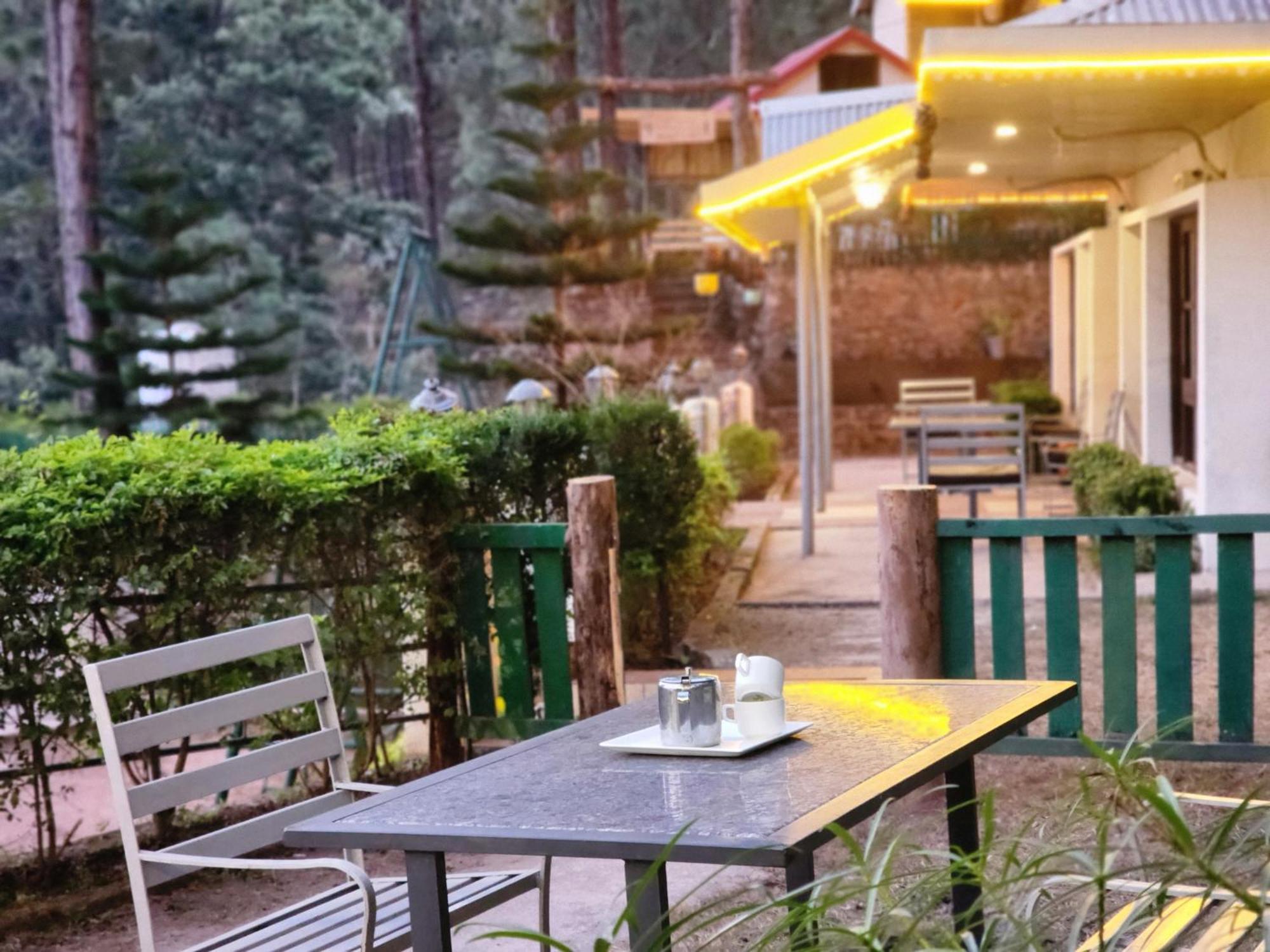 Pine Valley Resort Kasauli Ngoại thất bức ảnh