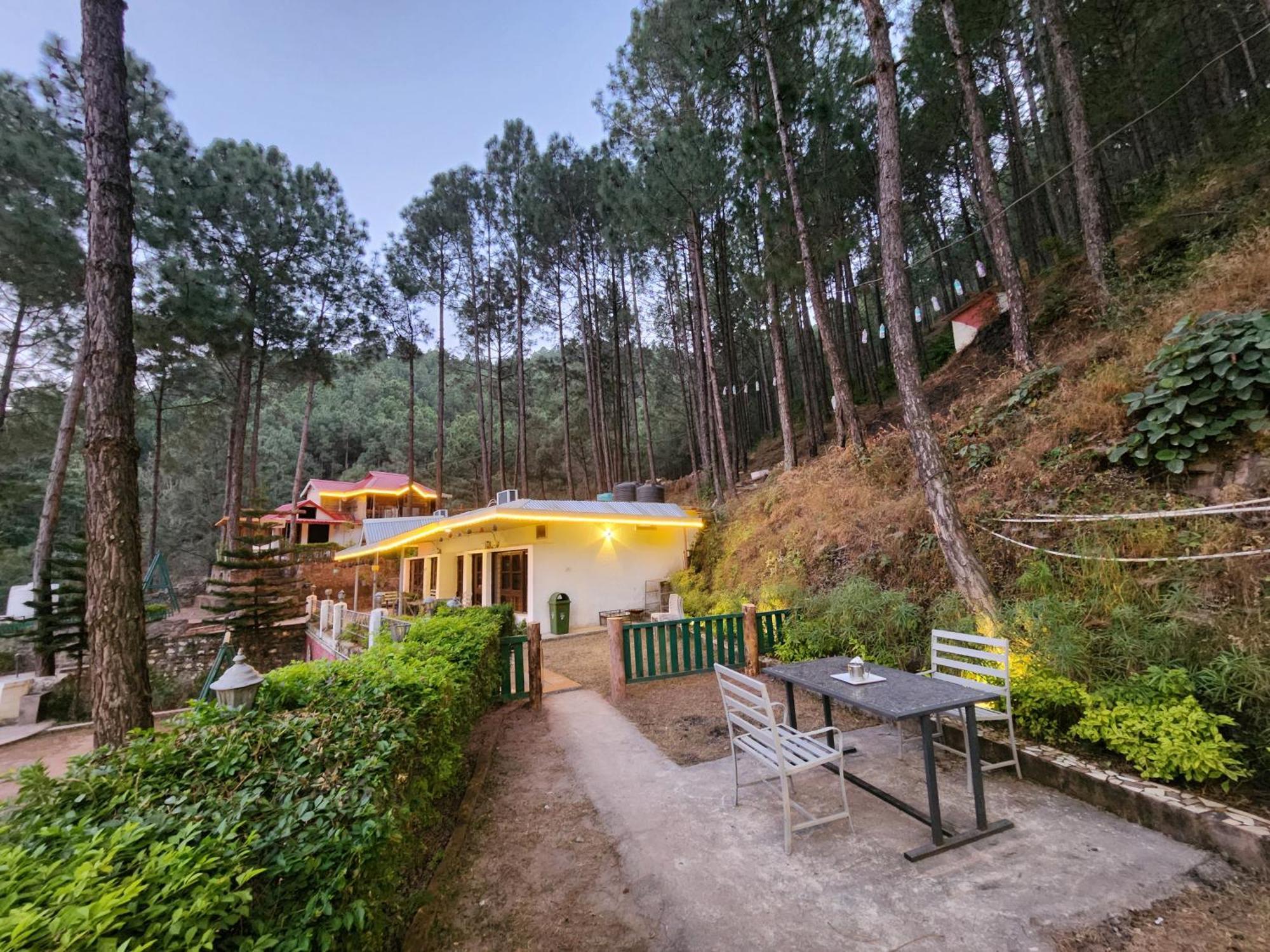Pine Valley Resort Kasauli Ngoại thất bức ảnh