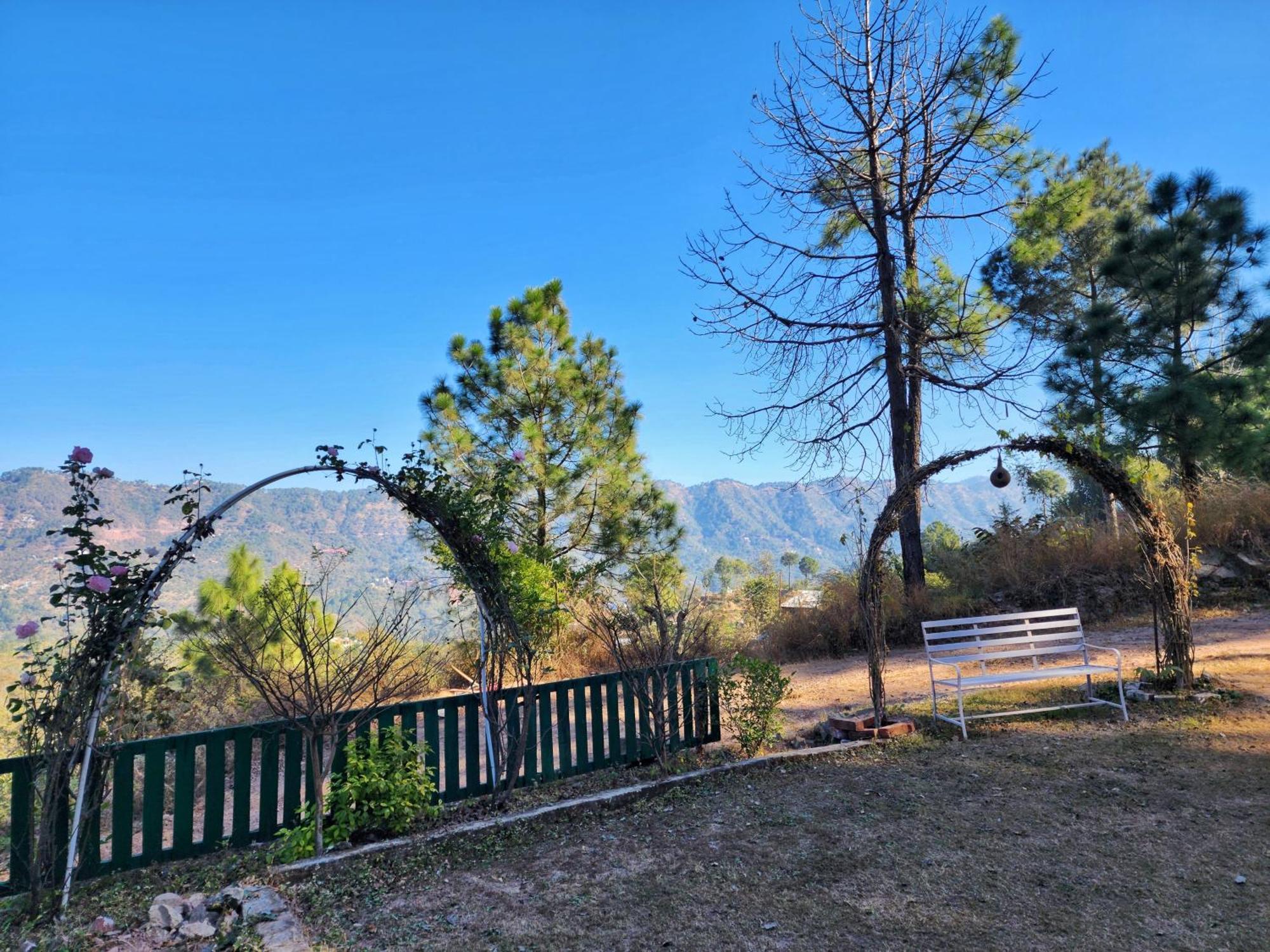 Pine Valley Resort Kasauli Ngoại thất bức ảnh