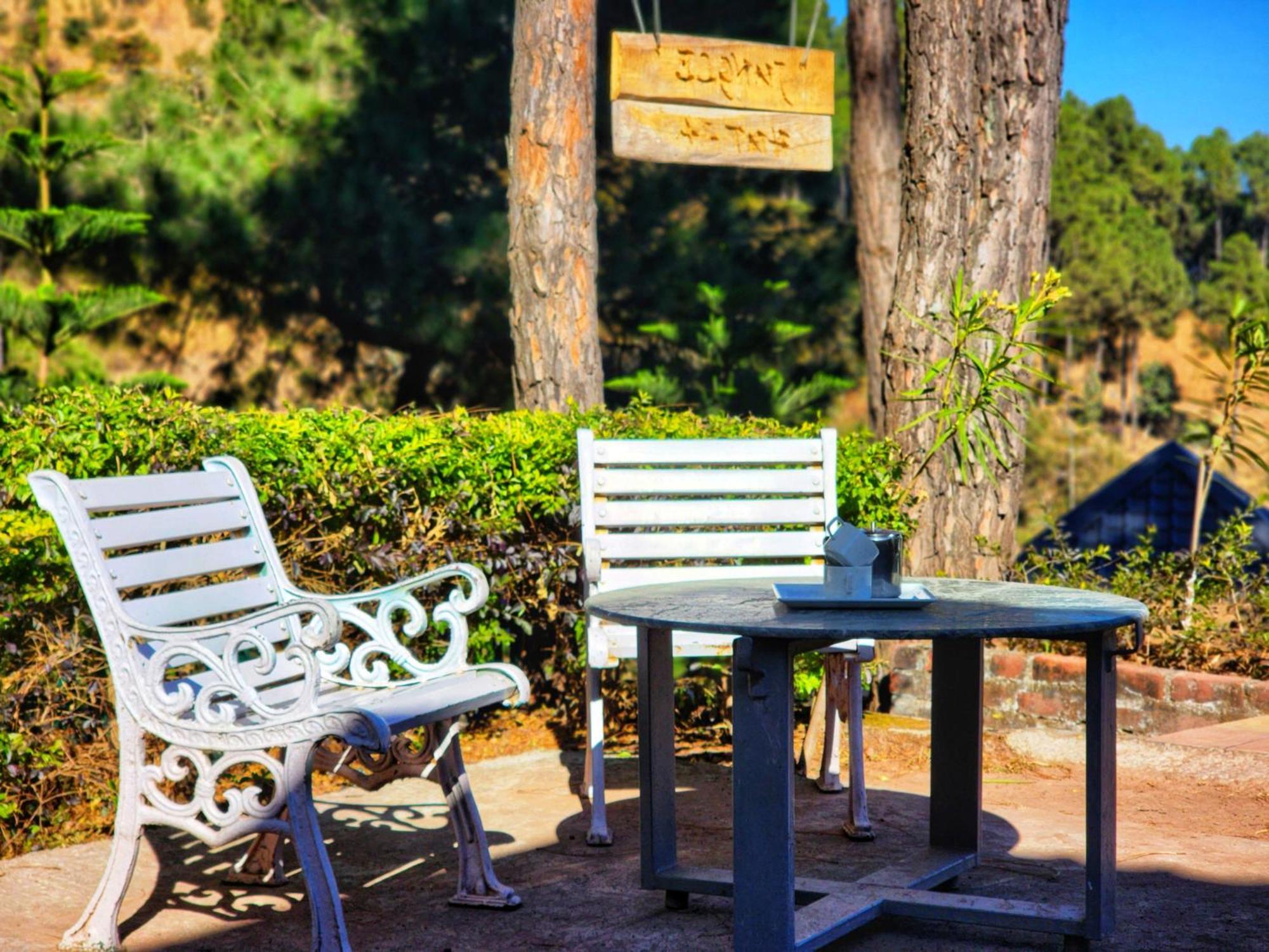 Pine Valley Resort Kasauli Ngoại thất bức ảnh