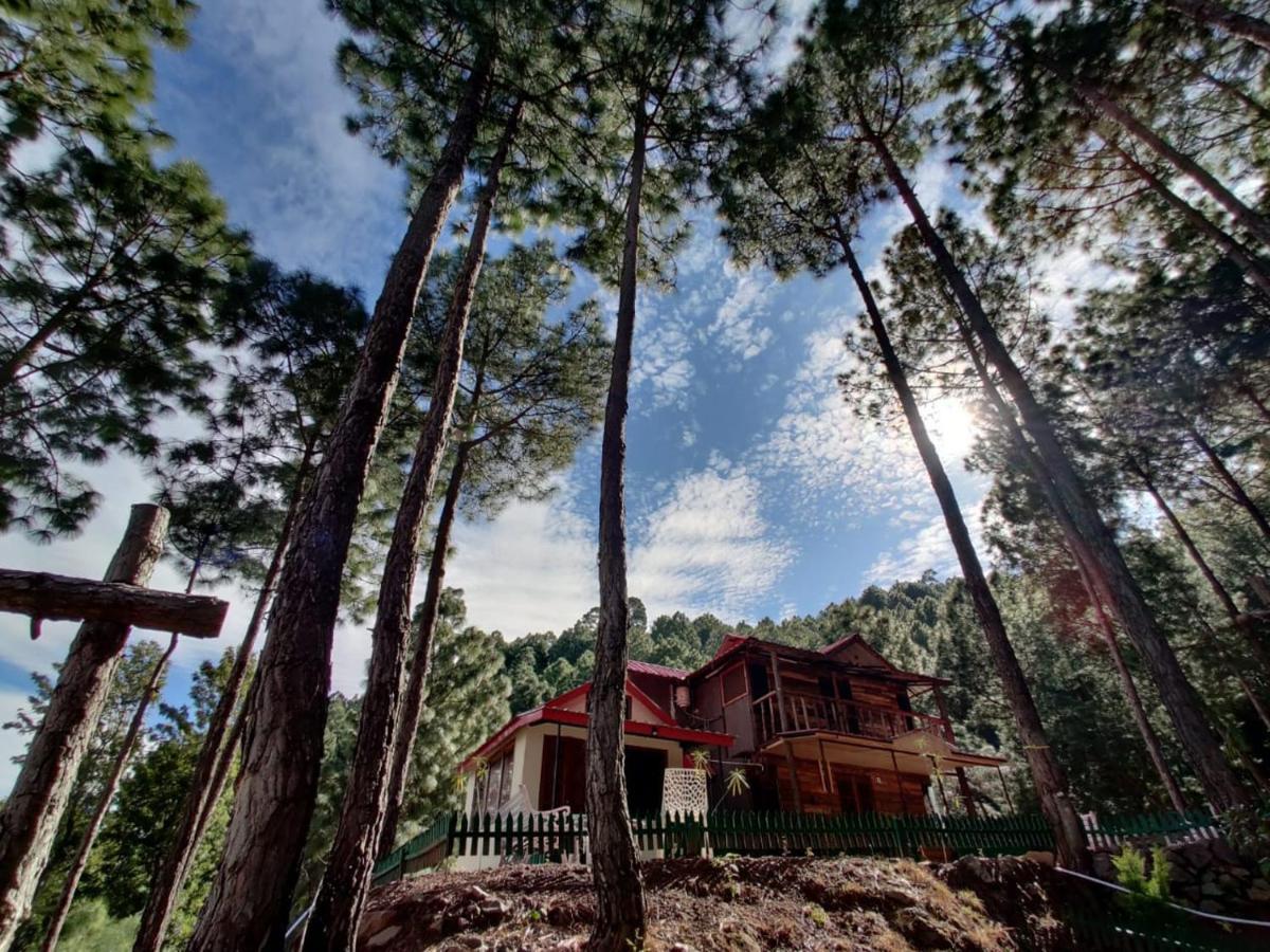 Pine Valley Resort Kasauli Ngoại thất bức ảnh